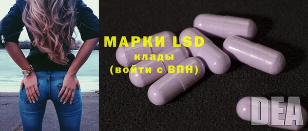 прущие грибы Верхний Тагил