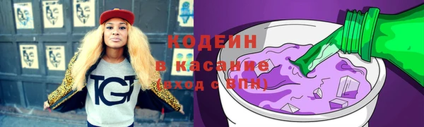 прущие грибы Верхний Тагил
