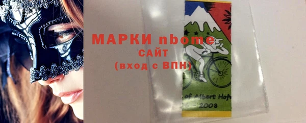 прущие грибы Верхний Тагил