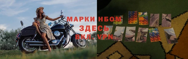 винт Верея
