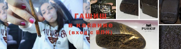 прущие грибы Верхний Тагил