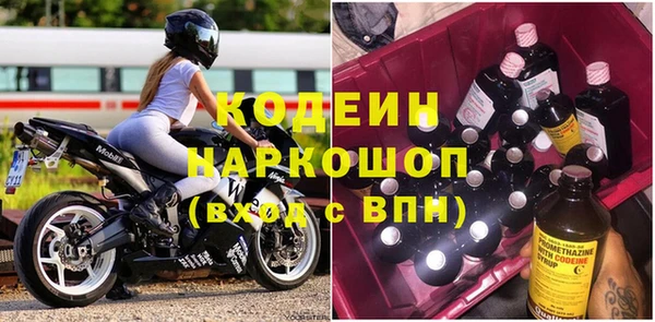 прущие грибы Верхний Тагил
