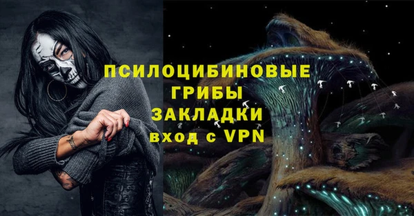 прущие грибы Верхний Тагил