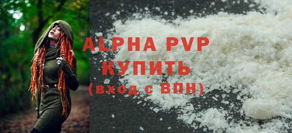 прущие грибы Верхний Тагил