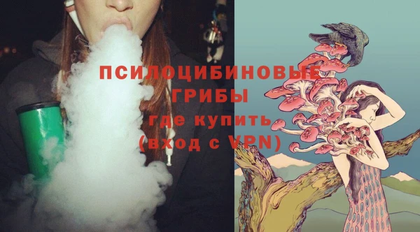 прущие грибы Верхний Тагил