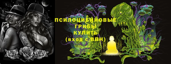 винт Верея