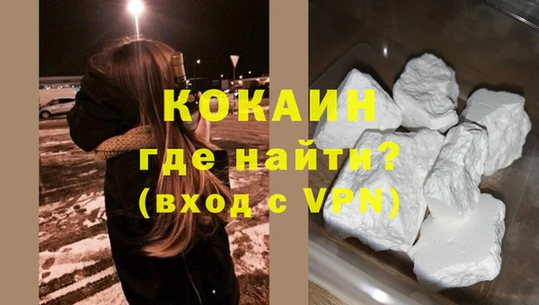 винт Верея